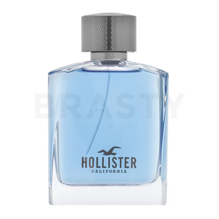 Hollister Wave For Him toaletní voda pro muže 100 ml