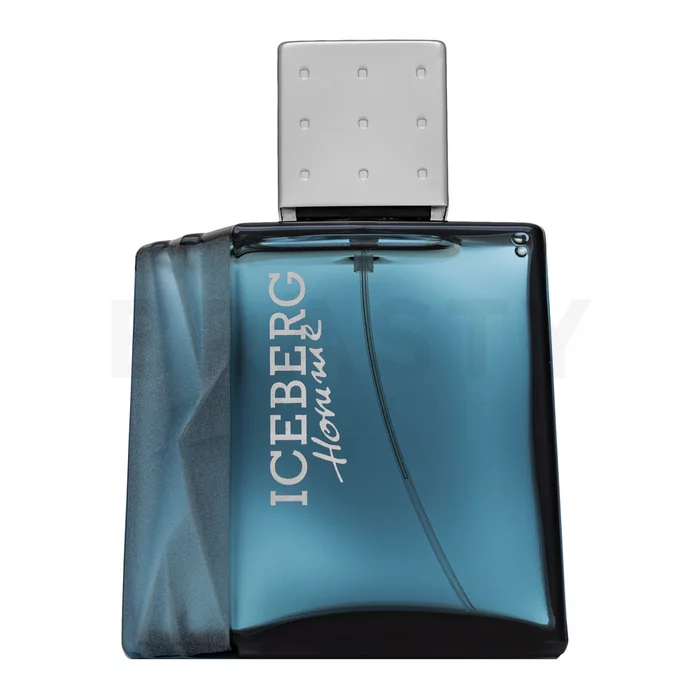 Iceberg Iceberg Homme Eau de Toilette bărbați 100 ml