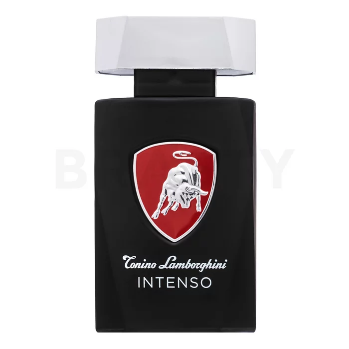 Tonino Lamborghini Intenso Eau de Toilette for men 125 ml
