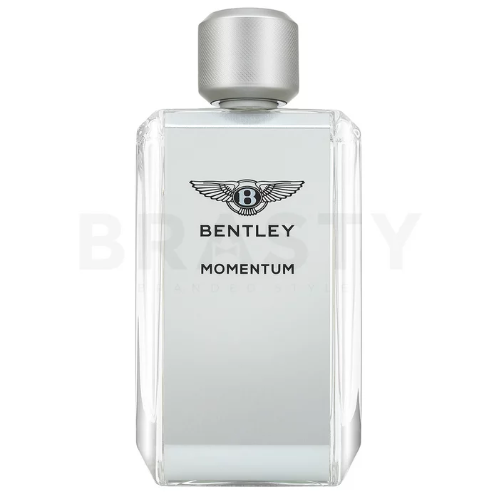 Bentley Momentum toaletní voda pro muže 100 ml