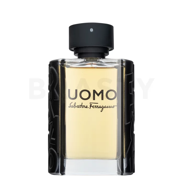 Salvatore Ferragamo Uomo toaletní voda pro muže 100 ml