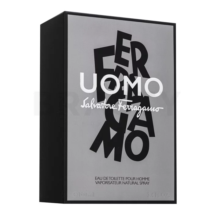 Salvatore Ferragamo Uomo toaletní voda pro muže 100 ml