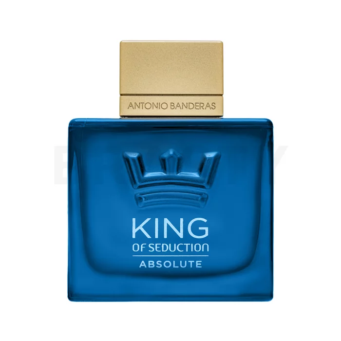 Antonio Banderas King Of Seduction Absolute Eau de Toilette für Herren 100 ml