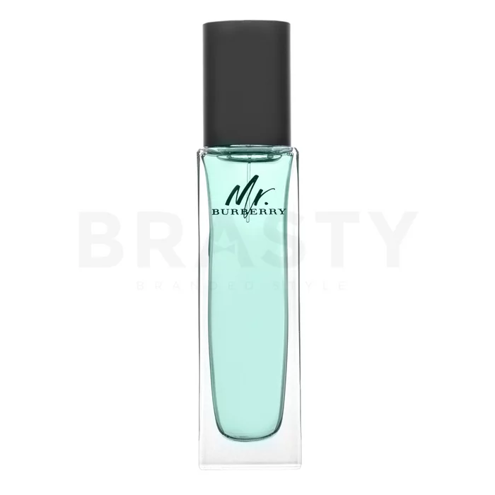 Burberry Mr. Burberry toaletní voda pro muže 30 ml