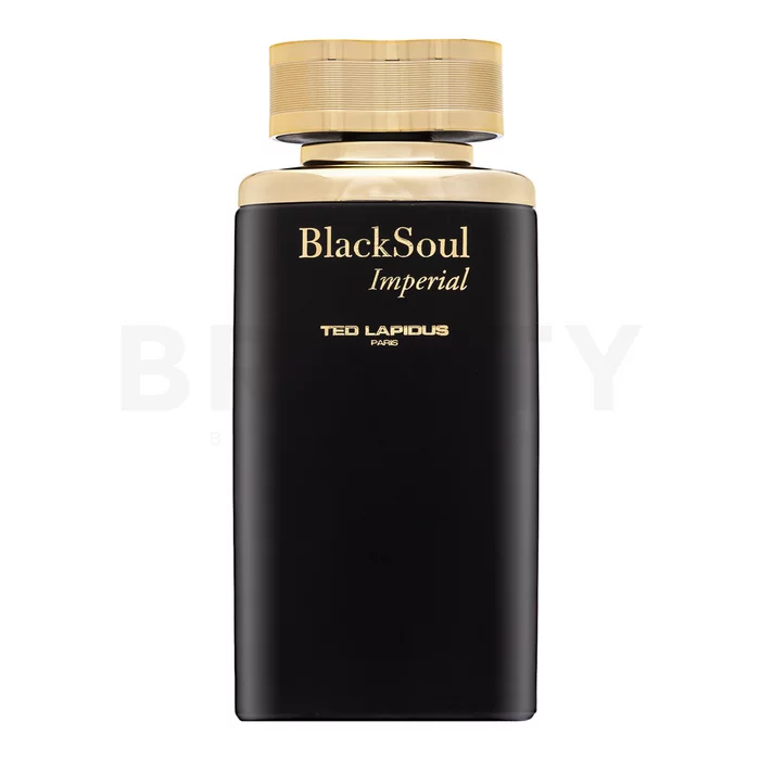 Ted Lapidus Black Soul Imperial toaletní voda pro muže 100 ml