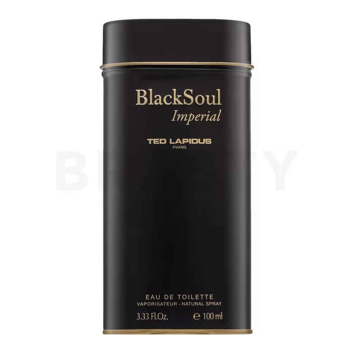 Ted Lapidus Black Soul Imperial toaletní voda pro muže 100 ml