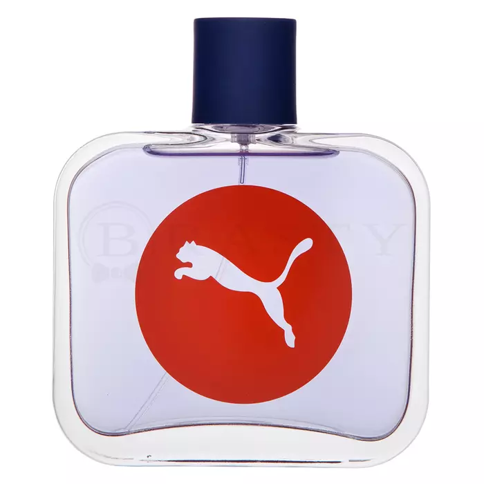 Puma Sync Eau de Toilette férfiaknak 90 ml