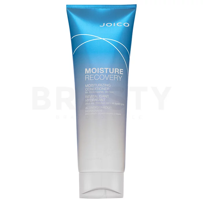 Joico Moisture Recovery Conditioner vyživující kondicionér pro suché vlasy 250 ml