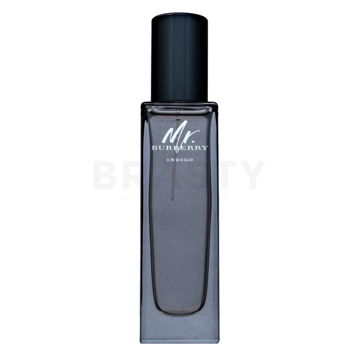 Burberry Mr. Burberry Indigo toaletní voda pro muže 30 ml