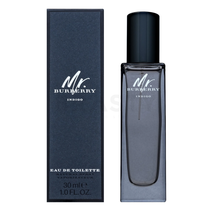 Burberry Mr. Burberry Indigo toaletní voda pro muže 30 ml