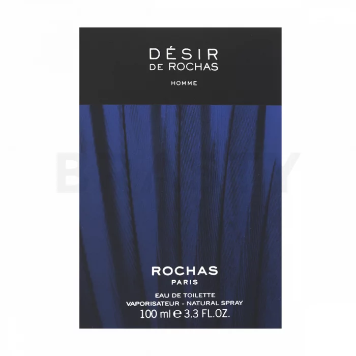Rochas Desir Pour Homme Eau de Toilette für Herren 100 ml