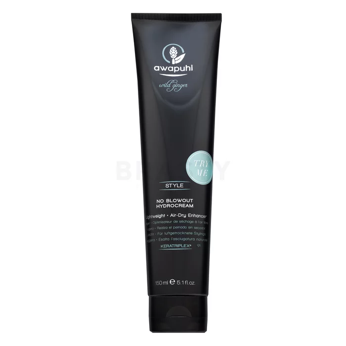Paul Mitchell Awapuhi Wild Ginger Style No Blowout Hydrocream stylingový krém pro rychlejší vysušení 150 ml