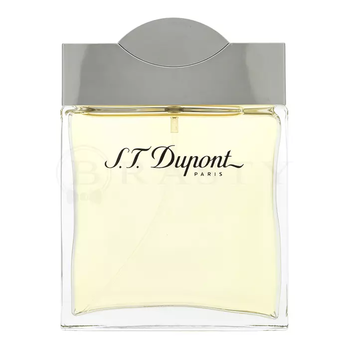 S.T. Dupont S.T. Dupont for Men Eau de Toilette voor mannen 100 ml