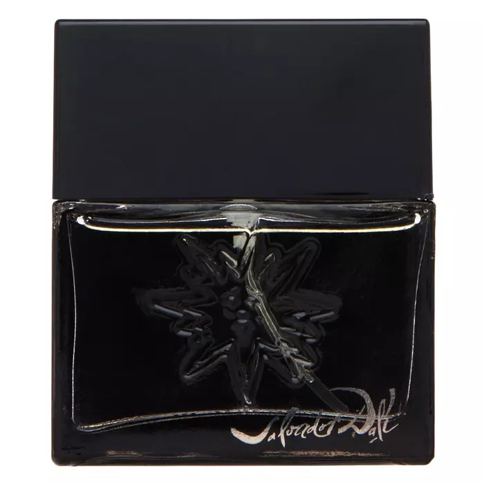 Salvador Dali Black Sun Eau de Toilette for men 30 ml