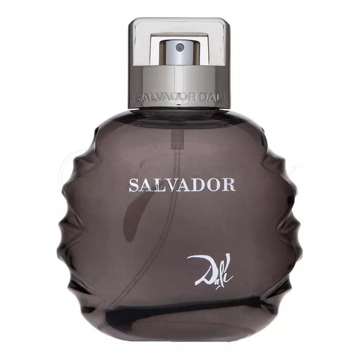 Salvador Dali Salvador Eau de Toilette for men 100 ml