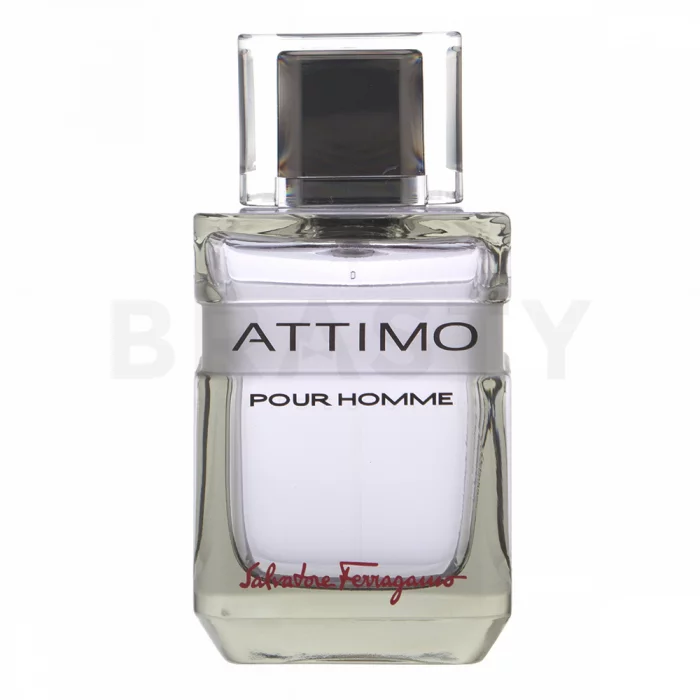 Salvatore Ferragamo Attimo Pour Homme toaletní voda pro muže 100 ml
