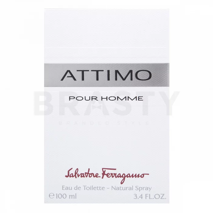 Salvatore Ferragamo Attimo Pour Homme toaletní voda pro muže 100 ml