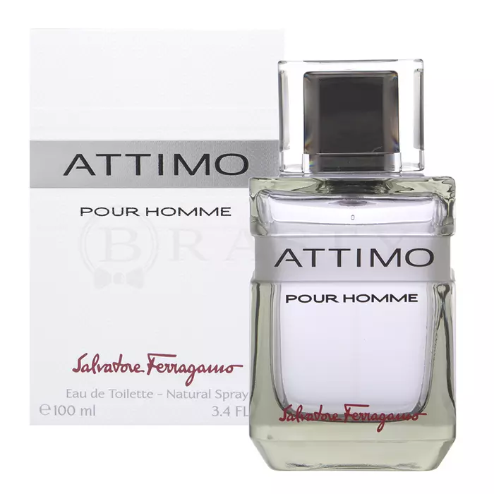 Salvatore Ferragamo Attimo Pour Homme toaletní voda pro muže 100 ml