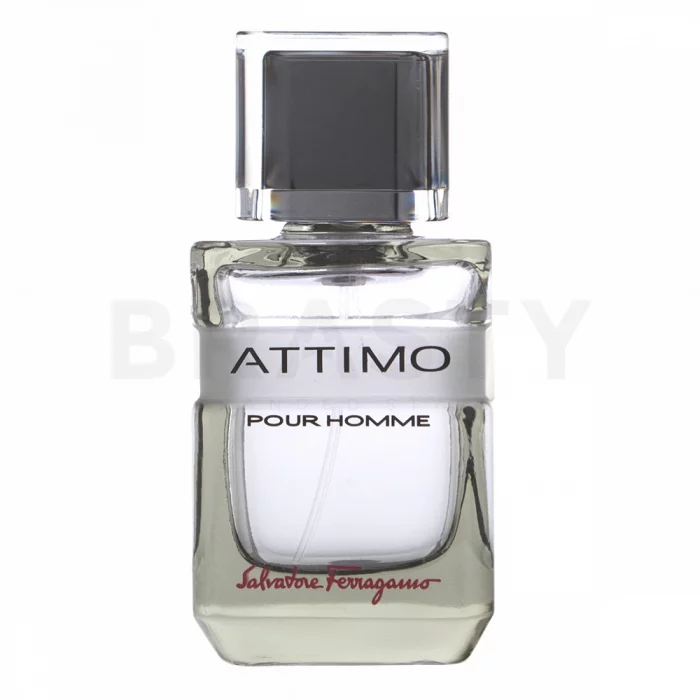Salvatore Ferragamo Attimo Pour Homme toaletní voda pro muže 60 ml