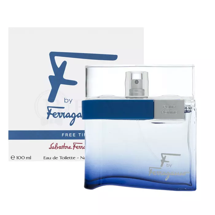 Salvatore Ferragamo F by Ferragamo Free Time Eau de Toilette for men 100 ml
