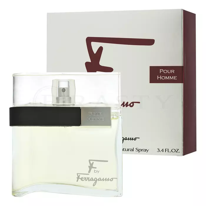 Salvatore Ferragamo F by Ferragamo Pour Homme woda toaletowa dla mężczyzn 100 ml