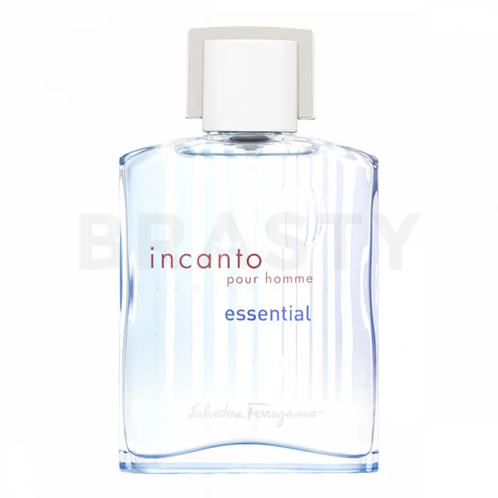 Salvatore Ferragamo Incanto Essential pour Homme toaletní voda pro muže 100 ml