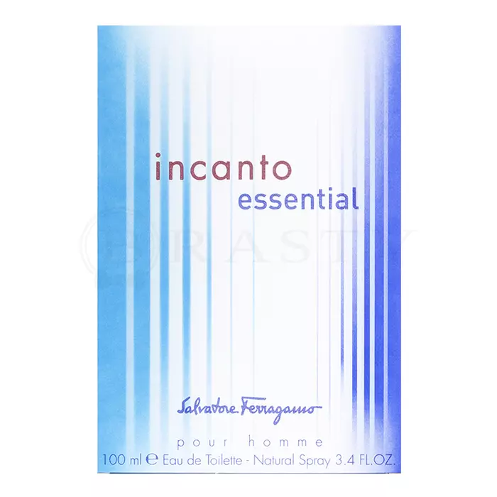 Salvatore Ferragamo Incanto Essential pour Homme toaletní voda pro muže 100 ml
