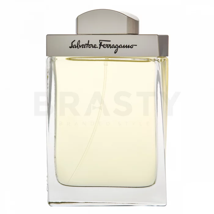 Salvatore Ferragamo Pour Homme toaletna voda za muškarce 100 ml