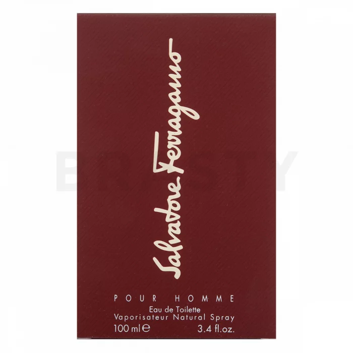 Salvatore Ferragamo Pour Homme toaletna voda za muškarce 100 ml