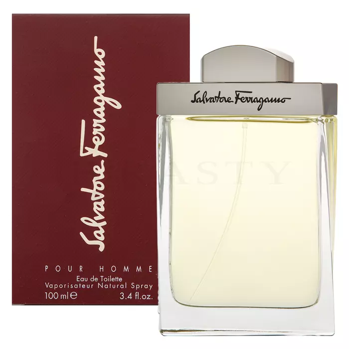 Salvatore Ferragamo Pour Homme toaletna voda za muškarce 100 ml