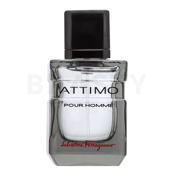 Salvatore Ferragamo Attimo Pour Homme toaletní voda pro muže 40 ml