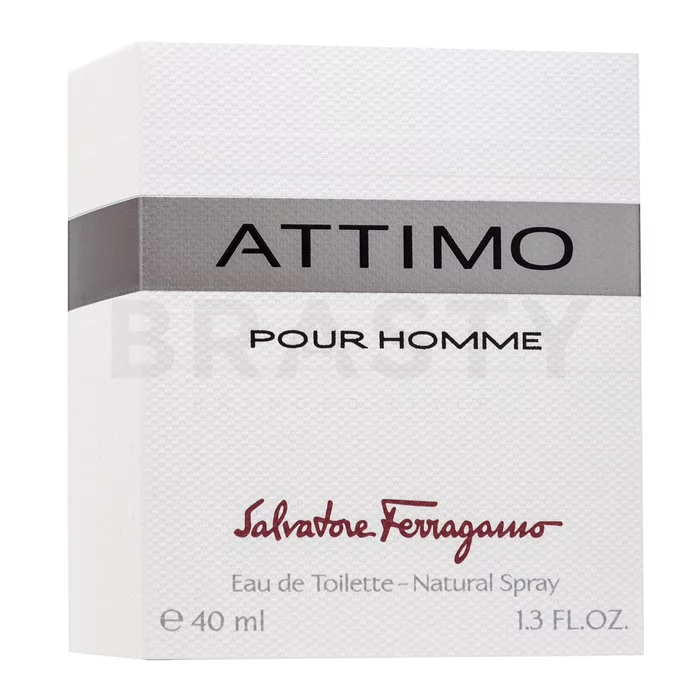 Salvatore Ferragamo Attimo Pour Homme toaletní voda pro muže 40 ml
