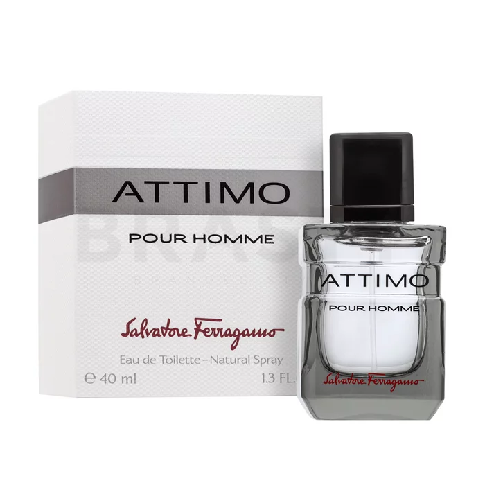 Salvatore Ferragamo Attimo Pour Homme toaletní voda pro muže 40 ml
