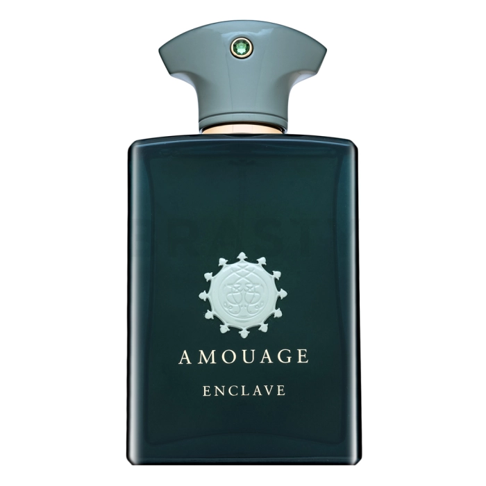Amouage Enclave parfémovaná voda pro muže 100 ml