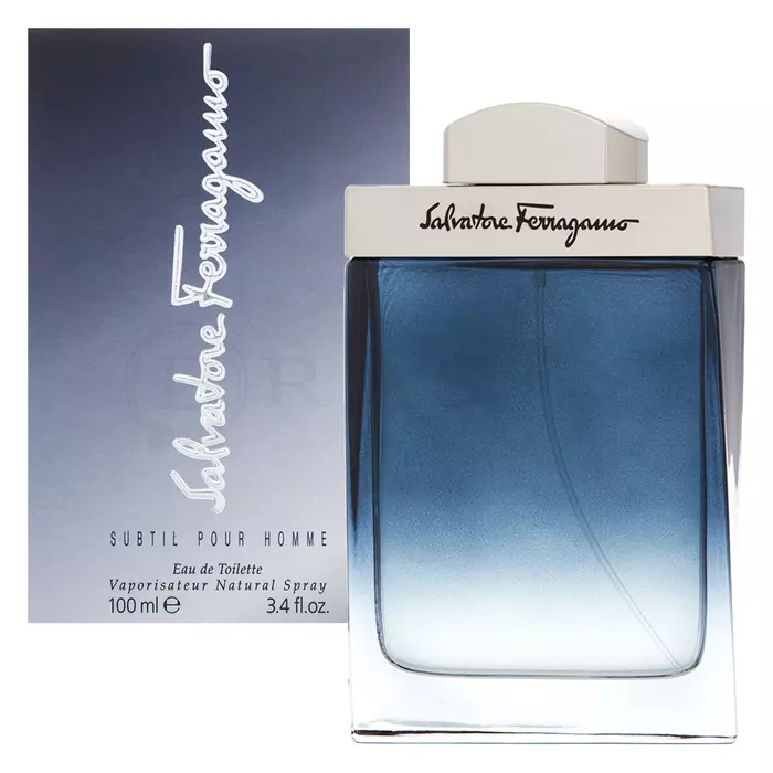 Salvatore Ferragamo Subtil Pour Homme toaletní voda pro muže 100 ml