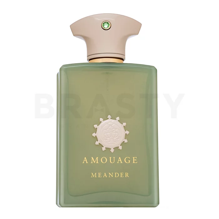 Amouage Meander parfémovaná voda pro muže 100 ml