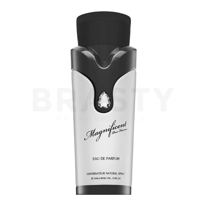 Armaf Magnificent Pour Homme parfémovaná voda pro muže 100 ml