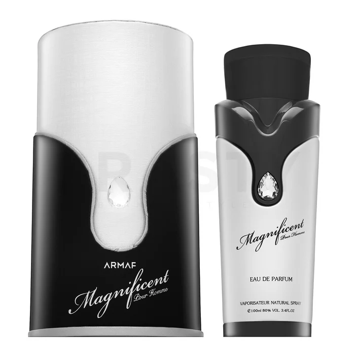 Armaf Magnificent Pour Homme parfémovaná voda pro muže 100 ml