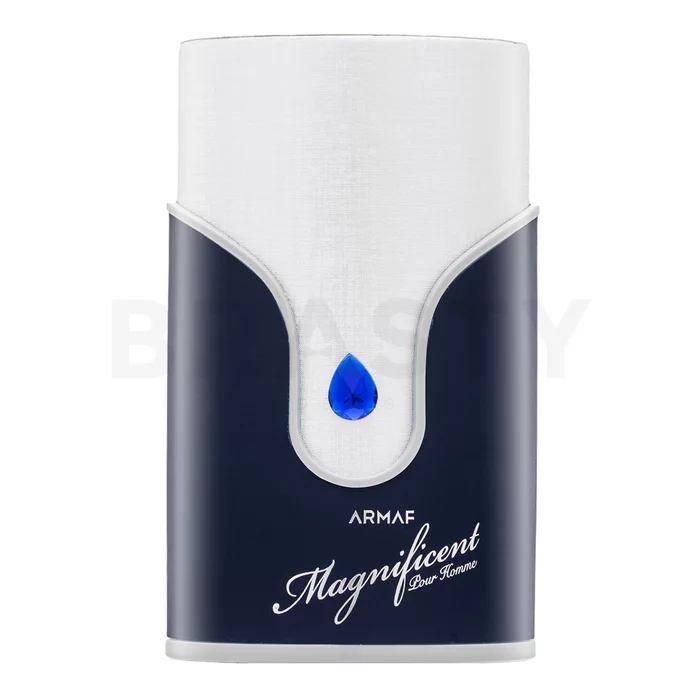 Armaf Magnificent Blue Pour Homme Eau de Parfum für Herren 100 ml