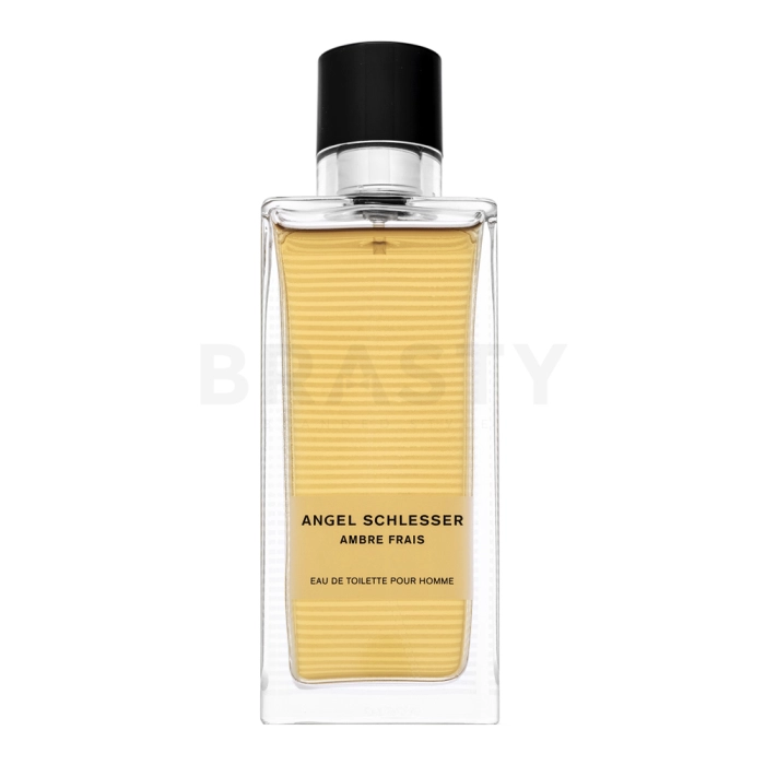 Angel Schlesser Ambre Frais Pour Homme toaletní voda pro muže 100 ml