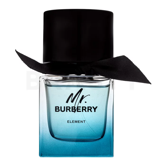 Burberry Mr. Burberry Element toaletní voda pro muže 50 ml