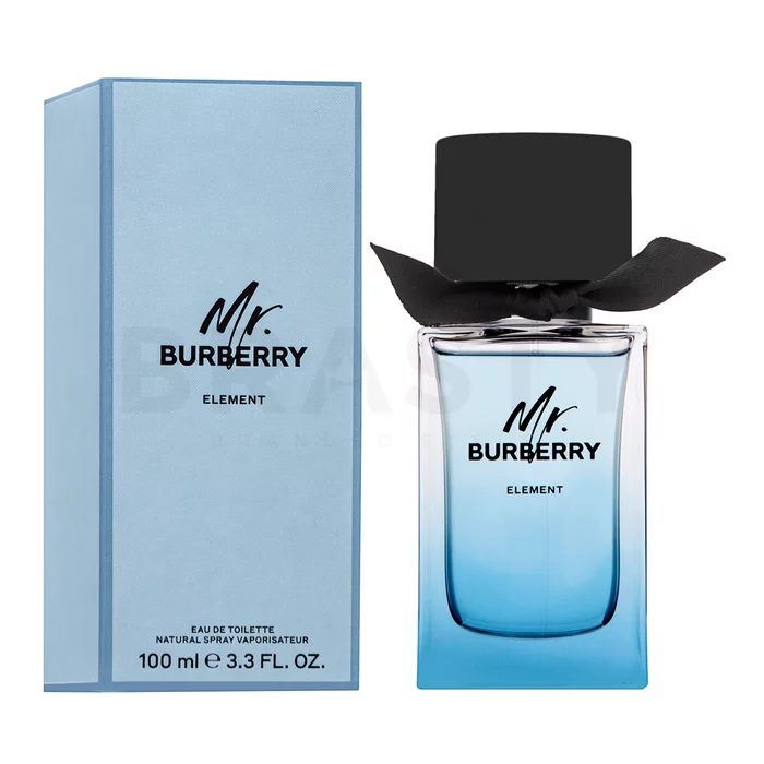Burberry Mr. Burberry Element toaletní voda pro muže 100 ml