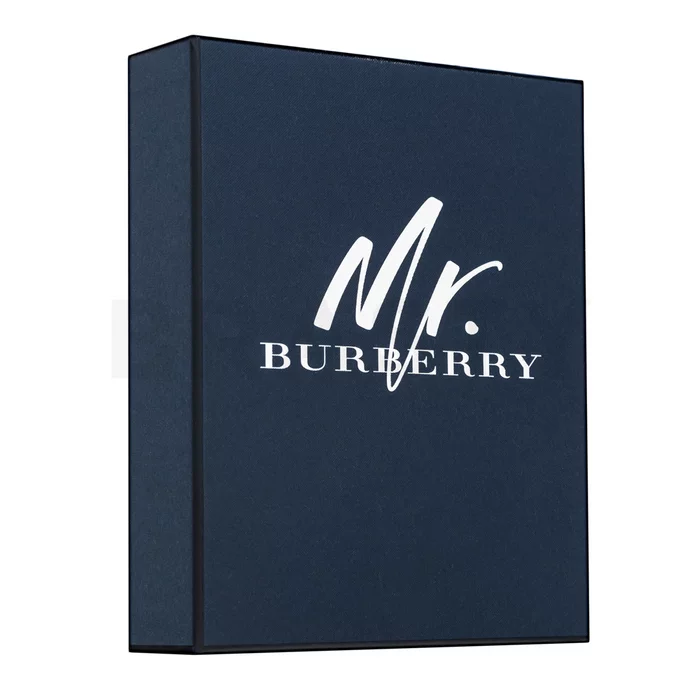 Burberry Mr. Burberry dárková sada pro muže Set II.