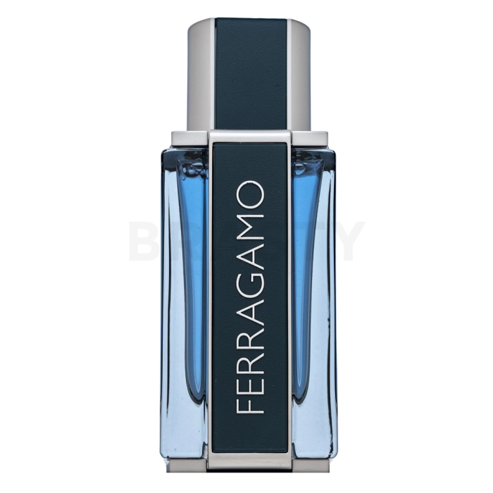 Salvatore Ferragamo Intense Leather parfémovaná voda za muškarce 50 ml
