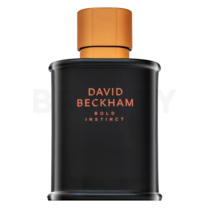 David Beckham Bold Instinct toaletní voda pro muže 75 ml