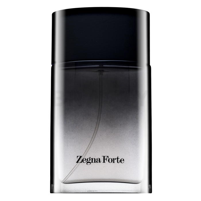 Ermenegildo Zegna Zegna Forte Eau de Toilette for men 50 ml