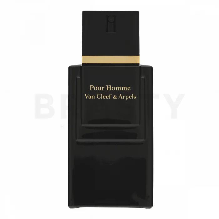 Van Cleef & Arpels Pour Homme toaletní voda pro muže 100 ml