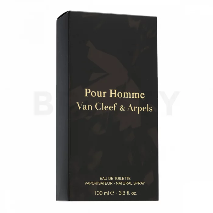 Van Cleef & Arpels Pour Homme toaletní voda pro muže 100 ml