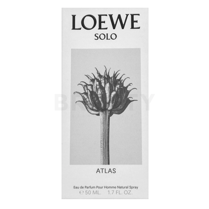 Loewe Solo Atlas parfémovaná voda pro muže 50 ml