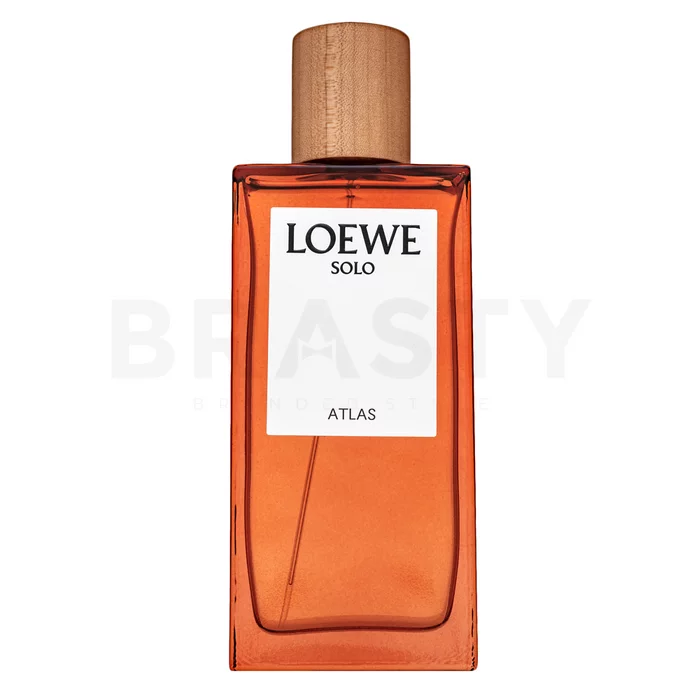 Loewe Solo Atlas parfémovaná voda pro muže 100 ml